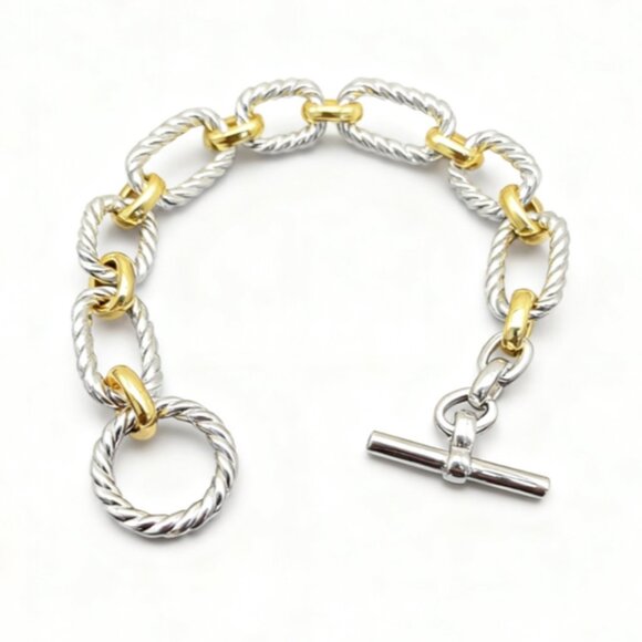 Two - Tone Twisted Chain Bracelet with Toggle Clasp - Picture 1 of 3